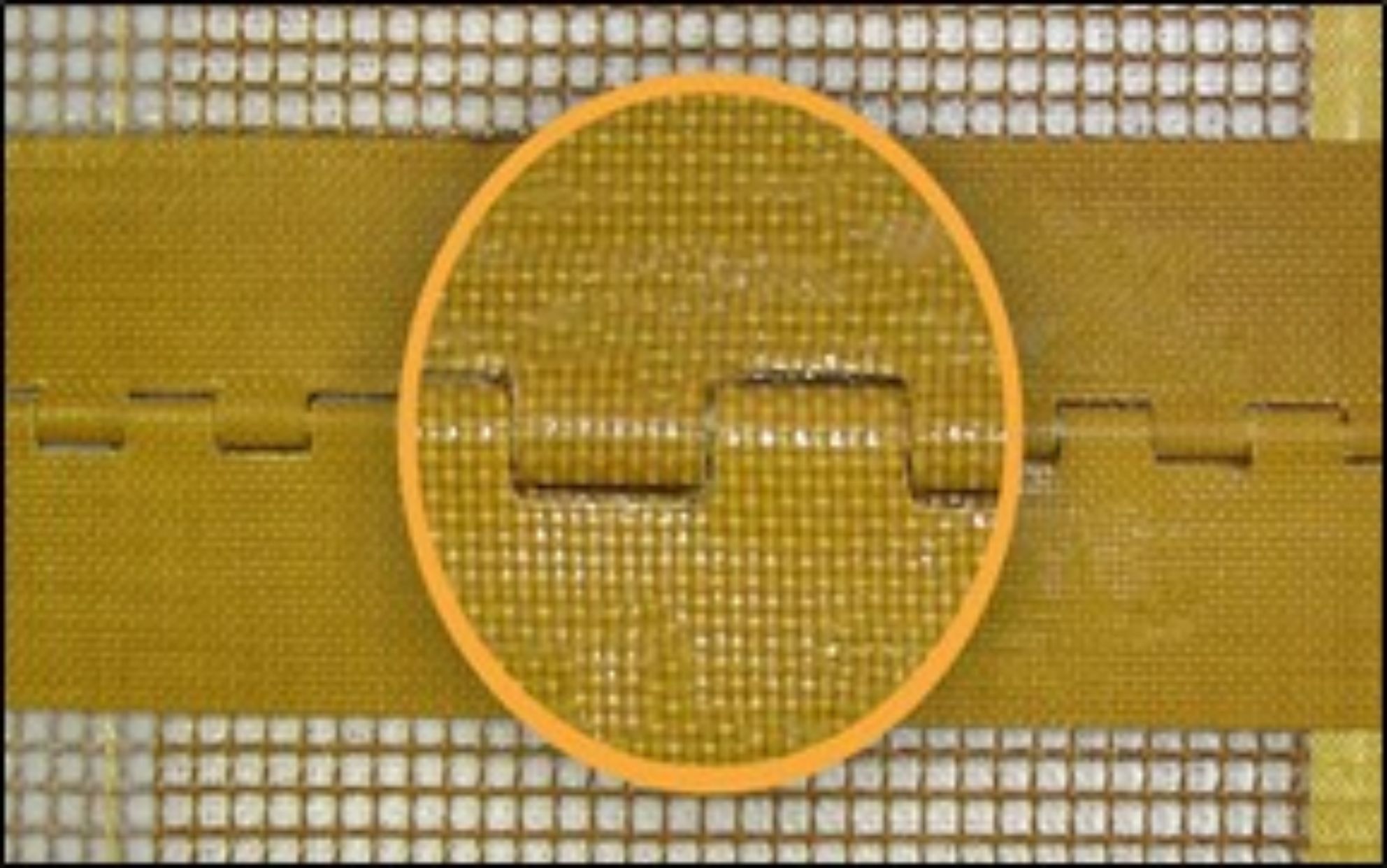 Picture8
